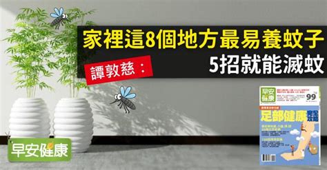 蚊子多|譚敦慈：家裡這8個地方最易養蚊子，5招就能滅蚊